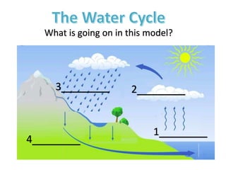 What is going on in this model?
1_______
2_______3_______
4_______
 