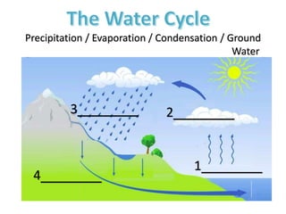 Precipitation / Evaporation / Condensation / Ground
Water
1_______
2_______3_______
4_______
 