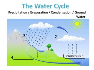 Precipitation / Evaporation / Condensation / Ground
Water
1_______
2_______3_______
4_______ evaporation
 