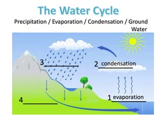 Precipitation / Evaporation / Condensation / Ground
Water
1_______
2_______3_______
4_______ evaporation
condensation
 