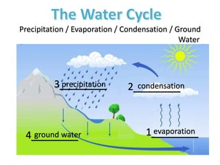 Precipitation / Evaporation / Condensation / Ground
Water
1_______
2_______3_______
4_______ evaporation
condensationprecipitation
ground water
 
