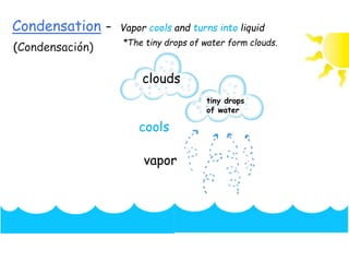 Condensation -
(Condensación)
Vapor cools and turns into liquid
vapor
tiny drops
of water
clouds
*The tiny drops of water form clouds.
cools
 