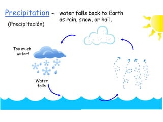 Precipitation -
(Precipitación)
water falls back to Earth
as rain, snow, or hail.
Too much
water!
Water
falls
 