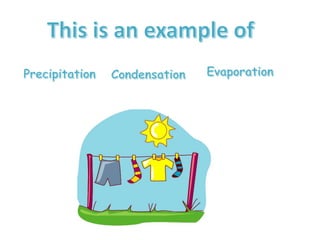 5/20 Water Cycle Notes