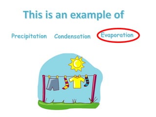 5/20 Water Cycle Notes