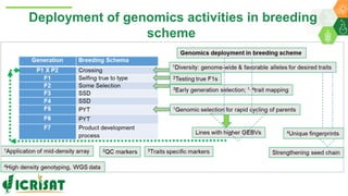 Research Program Genetic Gains (RPGG) Review Meeting 2021: From Discovery to Delivery- Pigeonpea Genomics - Trait discovery & deployment By Rachit K Saxena