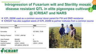 Research Program Genetic Gains (RPGG) Review Meeting 2021: From Discovery to Delivery- Pigeonpea Genomics - Trait discovery & deployment By Rachit K Saxena