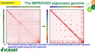 Research Program Genetic Gains (RPGG) Review Meeting 2021: From Discovery to Delivery- Pigeonpea Genomics - Trait discovery & deployment By Rachit K Saxena