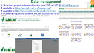 Research Program Genetic Gains (RPGG) Review Meeting 2021: From Discovery to Delivery- Pigeonpea Genomics - Trait discovery & deployment By Rachit K Saxena