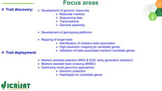 Research Program Genetic Gains (RPGG) Review Meeting 2021: From Discovery to Delivery- Pigeonpea Genomics - Trait discovery & deployment By Rachit K Saxena