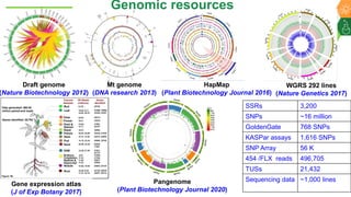 Research Program Genetic Gains (RPGG) Review Meeting 2021: From Discovery to Delivery- Pigeonpea Genomics - Trait discovery & deployment By Rachit K Saxena