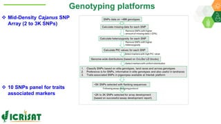 Research Program Genetic Gains (RPGG) Review Meeting 2021: From Discovery to Delivery- Pigeonpea Genomics - Trait discovery & deployment By Rachit K Saxena