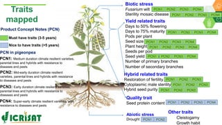 Research Program Genetic Gains (RPGG) Review Meeting 2021: From Discovery to Delivery- Pigeonpea Genomics - Trait discovery & deployment By Rachit K Saxena