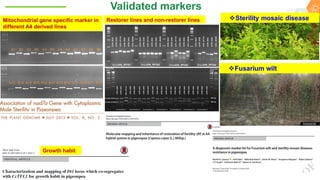 Research Program Genetic Gains (RPGG) Review Meeting 2021: From Discovery to Delivery- Pigeonpea Genomics - Trait discovery & deployment By Rachit K Saxena
