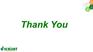 Research Program Genetic Gains (RPGG) Review Meeting 2021: Computational Genomics By Mr Prasad Bajaj and Team