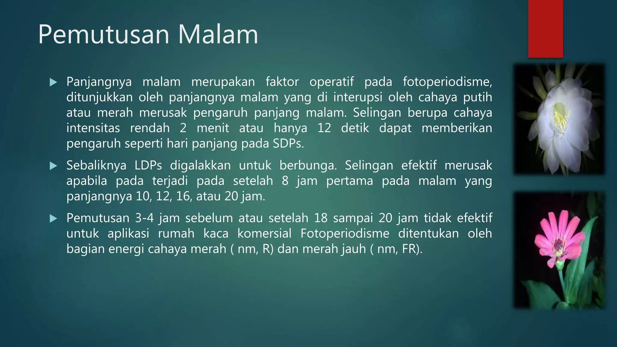 photoperiode dan pembungaan tanaman tropis dengan agroklimat | PPTX