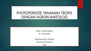PHOTOPERIODE TANAMAN TROPIS
DENGAN AGROKLIMATOLOGI
OLEH :
NAMA : PUAN HABIBAH
BP : 1920242005
PROGRAM PASCA SARJANA
UNIVERSITAS ANDALAS
2020
 