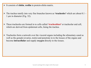 It consists of chitin, resilin in protein-chitin matrix.
 The trachea ramify into very fine branches known as ‘tracheoles’ which are about 0.1 –
1 μm in diameter (Fig. 32).
 These tracheoles are formed in to cells called ‘tracheoblast’ or tracheolar end cell,
which are derived from epidermal cells, lining the trachea.
 Tracheoles form a network over the visceral organs including the alimentary canal as
well as the gonads (ovaries, testis) and penetrate in to the tissues of the organs and
become intracellular and supply oxygen directly to the tissues.
Suresh Jambagi M.Sc (Agri) UAS Dharwad 4
 