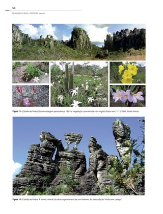 126
GEOPARQUES DO BRASIL / PROPOSTAS · volume I
Figura 14 - Cidade de Pedra. A forma central, da altura aproximada de um homem, foi batizada de“mula sem cabeça”.
Figura 13 - Cidade de Pedra (fotomontagem panorâmica 180º) e vegetação característica da região (Fotos em 21/12/2004, Paulo Paiva).
 