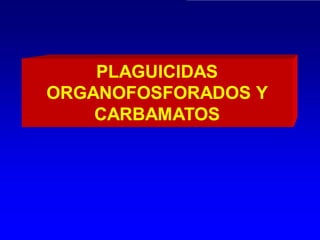 PLAGUICIDAS
ORGANOFOSFORADOS Y
CARBAMATOS
 