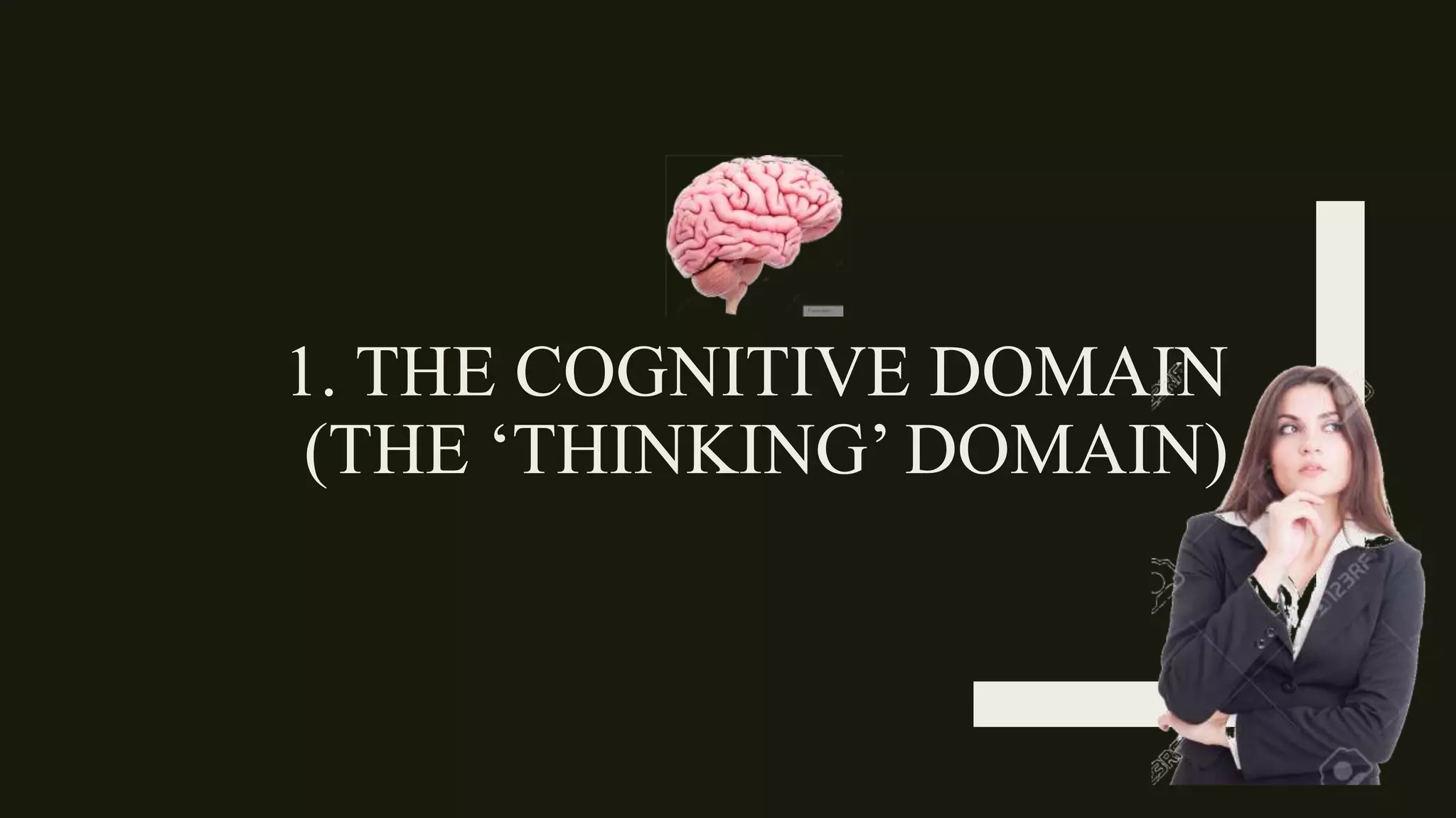 1. THE COGNITIVE DOMAIN
(THE ‘THINKING’ DOMAIN)
 