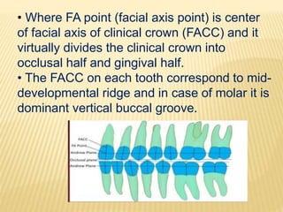 • Where FA point (facial axis point) is center
of facial axis of clinical crown (FACC) and it
virtually divides the clinical crown into
occlusal half and gingival half.
• The FACC on each tooth correspond to mid-
developmental ridge and in case of molar it is
dominant vertical buccal groove.
 
