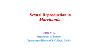 Sexual Reproduction in
Marchantia
Dhole N. A.
Department of Botany,
Digambarrao Bindu ACS College, Bhokar
 