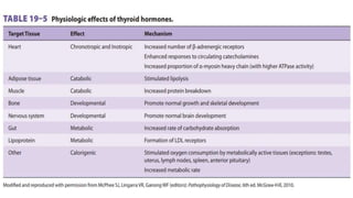EFFECTS OF THYROID HORMONES
• 19.5
 