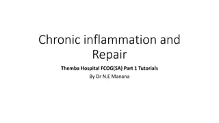 Chronic inflammation and
Repair
Themba Hospital FCOG(SA) Part 1 Tutorials
By Dr N.E Manana
 