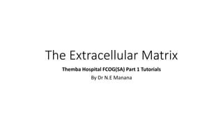 The Extracellular Matrix
Themba Hospital FCOG(SA) Part 1 Tutorials
By Dr N.E Manana
 
