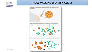 20 July 2021 Abhijit Debnath BP605T and Biotech Unit-3
11
HOW VACCINE WORKS? CO3.2
 