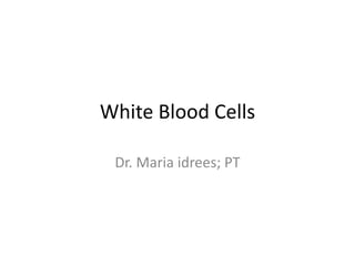 White Blood Cells
Dr. Maria idrees; PT
 