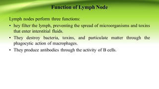 Lymph nodes perform three functions:
• hey filter the lymph, preventing the spread of microorganisms and toxins
that enter interstitial fluids.
• They destroy bacteria, toxins, and particulate matter through the
phagocytic action of macrophages.
• They produce antibodies through the activity of B cells.
Function of Lymph Node
 