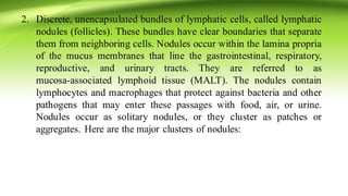 2. Discrete, unencapsulated bundles of lymphatic cells, called lymphatic
nodules (follicles). These bundles have clear boundaries that separate
them from neighboring cells. Nodules occur within the lamina propria
of the mucus membranes that line the gastrointestinal, respiratory,
reproductive, and urinary tracts. They are referred to as
mucosa‐associated lymphoid tissue (MALT). The nodules contain
lymphocytes and macrophages that protect against bacteria and other
pathogens that may enter these passages with food, air, or urine.
Nodules occur as solitary nodules, or they cluster as patches or
aggregates. Here are the major clusters of nodules:
 