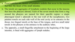 a. Peyer's patches are clusters of lymphatic nodules that occur in the mucosa
that lines the ileum of the small intestine.
b. The tonsils are aggregates of lymphatic nodules that occur in the mucosa
that lines the pharynx (throat). Each of the seven tonsils that form a ring
around the pharynx are named for their specific region: a single
pharyngeal tonsil ( adenoid) in the rear wall of the nasopharynx, two
palatine tonsils on each side wall of the oral cavity at its entrance in the
throat, two lingual tonsils at the base of the tongue, and two small tubal
tonsils in the pharynx at the entrance to the auditory tubes.
c. The appendix, a small fingerlike attachment to the beginning of the large
intestine, is lined with aggregates of lymph nodules.
 