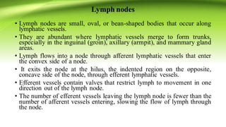 Lymph nodes
• Lymph nodes are small, oval, or bean‐shaped bodies that occur along
lymphatic vessels.
• They are abundant where lymphatic vessels merge to form trunks,
especially in the inguinal (groin), axillary (armpit), and mammary gland
areas.
• Lymph flows into a node through afferent lymphatic vessels that enter
the convex side of a node.
• It exits the node at the hilus, the indented region on the opposite,
concave side of the node, through efferent lymphatic vessels.
• Efferent vessels contain valves that restrict lymph to movement in one
direction out of the lymph node.
• The number of efferent vessels leaving the lymph node is fewer than the
number of afferent vessels entering, slowing the flow of lymph through
the node.
 