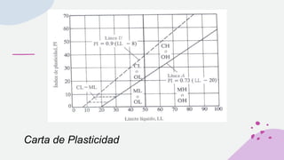 Carta de Plasticidad
 