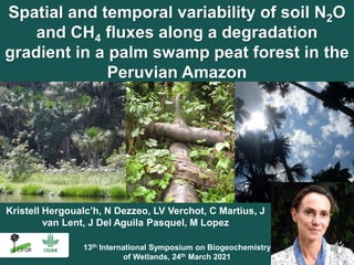 Kristell Hergoualc’h, N Dezzeo, LV Verchot, C Martius, J
van Lent, J Del Aguila Pasquel, M Lopez
Spatial and temporal vari...