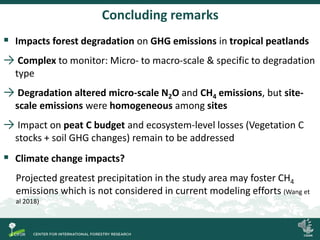 Spatial and temporal variability of soil N2O and CH4 fluxes along a degradation gradient of palm swamp peatlands in the Peruvian Amazon