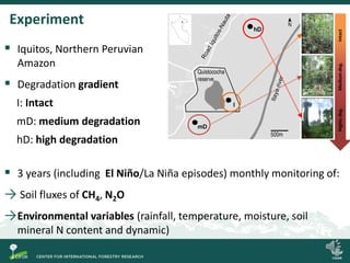 Spatial and temporal variability of soil N2O and CH4 fluxes along a degradation gradient of palm swamp peatlands in the Peruvian Amazon