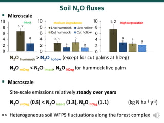 Spatial and temporal variability of soil N2O and CH4 fluxes along a degradation gradient of palm swamp peatlands in the Peruvian Amazon