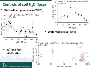Spatial and temporal variability of soil N2O and CH4 fluxes along a degradation gradient of palm swamp peatlands in the Peruvian Amazon