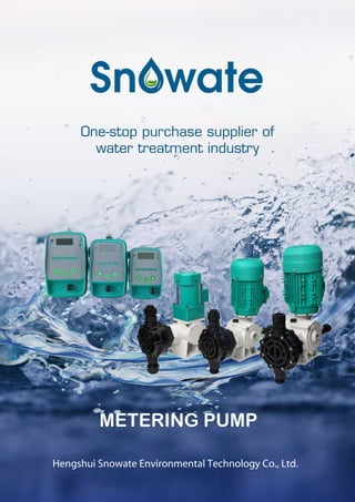 Hengshui Snowate Environmental Technology Co., Ltd.
One-stop purchase supplier of
water treatment industry
METERING PUMP
 