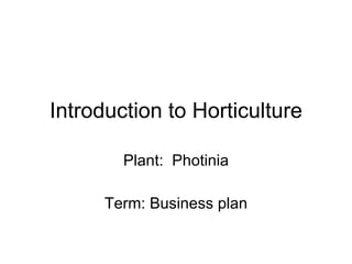 Introduction to Horticulture Plant:  Photinia Term: Business plan 