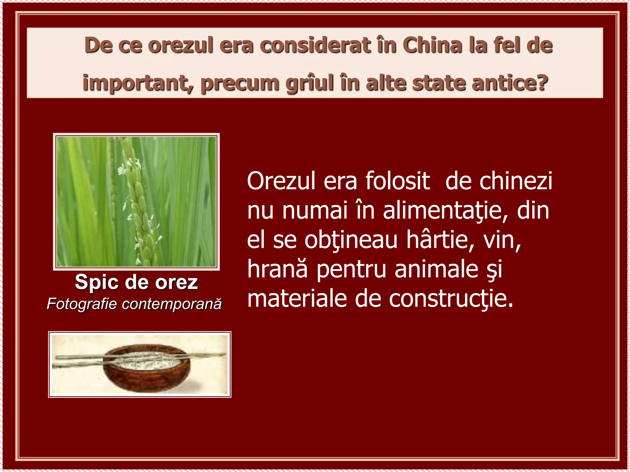 De ce orezul era considerat în China la fel de
important, precum grîul în alte state antice?
Orezul era folosit de chinezi
nu numai în alimentaţie, din
el se obţineau hârtie, vin,
hrană pentru animale şi
materiale de construcţie.
Spic de orez
Fotografie contemporană
 