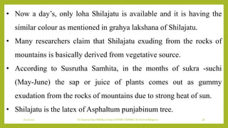 7/12/2022 Dr.SaranyaSasi MD(Ayu) Dept.of RSBK SSRAMC & H Inchal Belgaum 38
• Now a day’s, only loha Shilajatu is available and it is having the
similar colour as mentioned in grahya lakshana of Shilajatu.
• Many researchers claim that Shilajatu exuding from the rocks of
mountains is basically derived from vegetative source.
• According to Susrutha Samhita, in the months of sukra -suchi
(May-June) the sap or juice of plants comes out as gummy
exudation from the rocks of mountains due to strong heat of sun.
• Shilajatu is the latex of Asphaltum punjabinum tree.
 