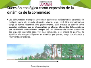 Sucesión ecológica como expresión de la
dinámica de la comunidad
• Las comunidades biológicas presentan estructuras características (biomas) en
cualquier parte del mundo (desierto, sabana, selva, etc.). Una comunidad no
surge de forma repentina, sino gradualmente. Este proceso se conoce como
sucesión ecológica, que es el reemplazo de algunos elementos del ecosistema
por otros en el transcurso del tiempo. Así, una determinada área es colonizada
por especies vegetales cada vez más complejas. Si el medio lo permite, la
aparición de musgos y líquenes es sucedida por pastos, luego por arbustos y
finalmente por árboles.
 