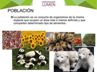 POBLACIÓN
La población es un conjunto de organismos de la misma
especie que ocupan un área más o menos definida y que
comparten determinado tipo de alimentos.
 