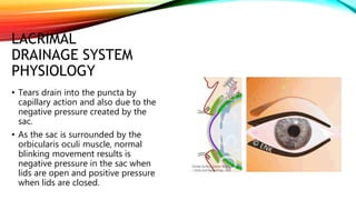 LACRIMAL
DRAINAGE SYSTEM
PHYSIOLOGY
• Tears drain into the puncta by
capillary action and also due to the
negative pressure created by the
sac.
• As the sac is surrounded by the
orbicularis oculi muscle, normal
blinking movement results is
negative pressure in the sac when
lids are open and positive pressure
when lids are closed.
 