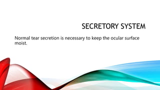 SECRETORY SYSTEM
Normal tear secretion is necessary to keep the ocular surface
moist.
 